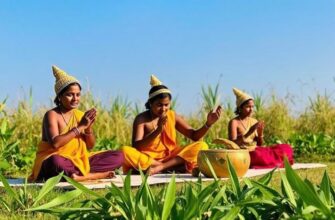 Шикша — водяника: народная польза и простые способы применения